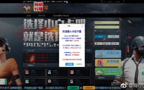 《绝地求生》玩家必备：深度解析各大卡盟优劣-《绝地求生》游戏卡盟选择指南：哪个更适合你？