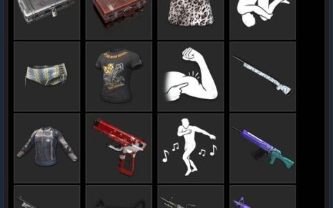 《绝地求生A4卡盟》玩家必备：卡盟选择与优化策略-《绝地求生》游戏中A4卡盟的使用技巧与高级设置