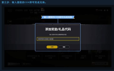 《绝地求生》卡盟已购卡密使用指南-《绝地求生》游戏卡密激活步骤与常见问题解析