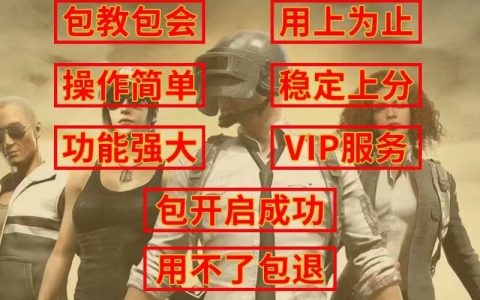《绝地求生》游戏辅助工具发卡全解析-深入了解《绝地求生》辅助工具发卡市场现状与发展趋势