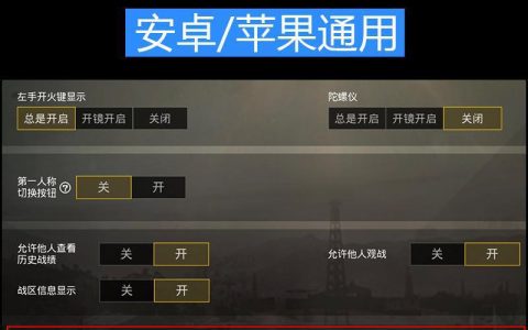 《绝地求生》游戏中的辅助工具全解析-从外挂到内置工具：《绝地求生》玩家必备的辅助软件概览