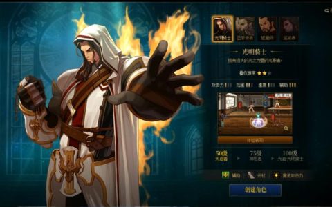 DNF圣骑士纯辅助加点策略深度解析-DNF圣骑士纯辅助加点技巧与实战应用