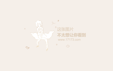 DNF百花辅助VS奶爸：全面对比与解析-DNF百花辅助与奶爸角色深度对比