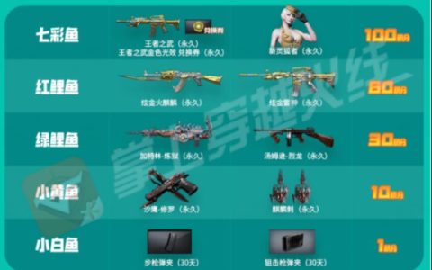 CF卡盟：享受超低价位的优质服务-CF卡盟低价策略解析：如何以更实惠的价格获取高效服务