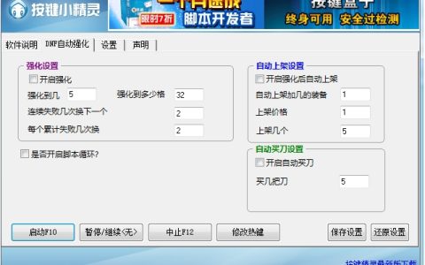 DNF脚本与辅助工具：功能差异与使用注意事项-DNF脚本与辅助工具对比：选择更合适的游戏助手