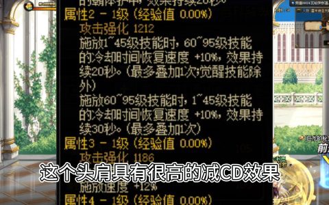 DNF猪年辅助装备属性解析-DNF猪年辅助装备属性详解与选择指南