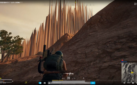 《奇葩绝地求生辅助》深度解析：功能与风险并存-奇葩绝地求生辅助软件的安全性与合法性探讨