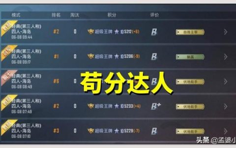 揭秘《绝地求生超低价卡盟》：玩家福利还是风险陷阱？-