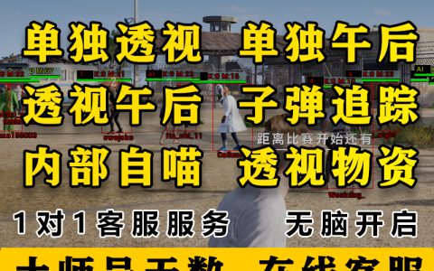 《绝地求生鸿星尔克辅助》：提升游戏体验的必备神器