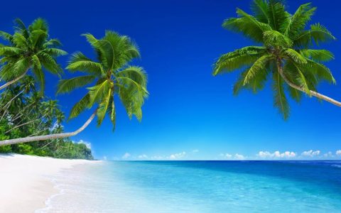 《绝地求生》颜夕卡盟：解锁游戏新体验的秘密武器-《绝地求生》玩家必备：颜夕卡盟服务深度解析与推荐