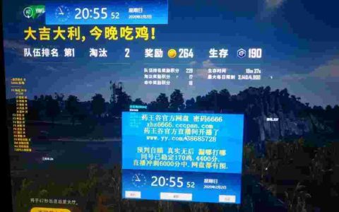 揭秘《绝地求生》辅助大佬卡盟：游戏公平性的灰色地带