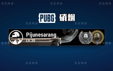 揭秘《绝地求生刺激战场》CDK卡盟：安全获取与防骗指南