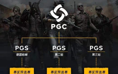 揭秘《绝地求生》RNG战队辅助策略与技巧-《绝地求生》RNG战队高效辅助工具与战术深度解析