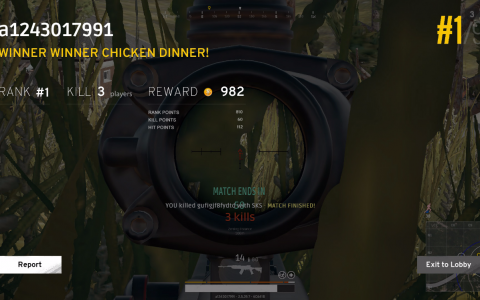 揭秘绝地求生大逃杀主播专用辅助:透视自瞄背后的秘密