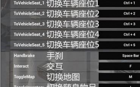 绝地求生辅助键位设置指南-掌握绝地求生高效辅助键位配置技巧