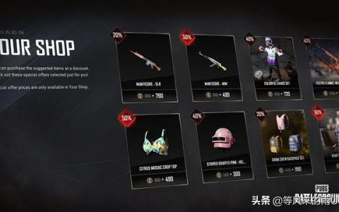 揭秘《绝地求生》白号四无邮箱号卡盟的真相与风险