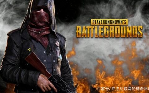 揭秘《绝地求生》总站卡盟：游戏内外的交易生态-《绝地求生》卡盟服务深度解析：安全交易与游戏平衡探讨