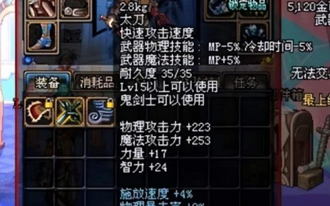 《DNF辅助传说装备全解析》-深度探索《地下城与勇士》中辅助角色传说装备搭配策略