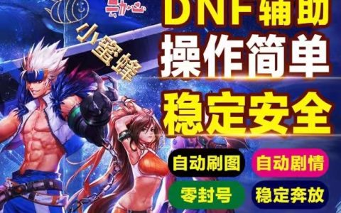 《DNF谋略战第二季：深度解析高效辅助策略》-《DNF谋略战第二季辅助角色选择与战术搭配指南》