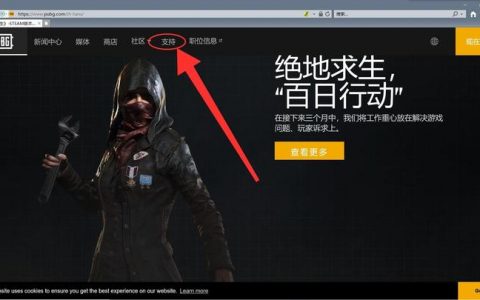 曝光《绝地求生》辅助卡盟EZ：游戏公平性的隐形威胁-绝地求生辅助卡盟EZ背后的作弊现象与防范策略