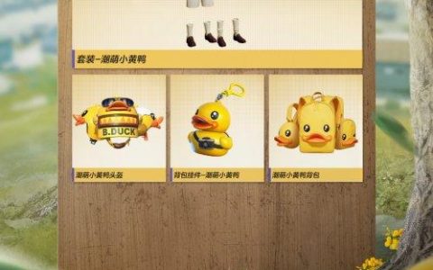 绝地求生娃哈哈卡盟-绝地求生游戏内购卡盟平台