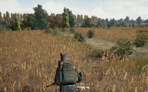 绝地求生卡盟网站搭建指南-如何建立高收益的绝地求生卡盟网站