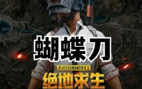 绝地求生辅助卡盟-绝地求生辅助卡盟购买指南