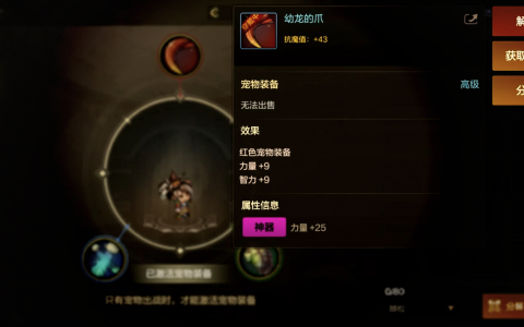 罗特斯技能选择攻略-全面解析罗特斯技能搭配