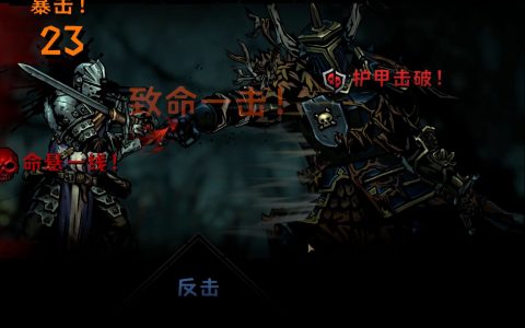 如何击败堕落骑士：攻略详解-全面解析堕落骑士战斗技巧