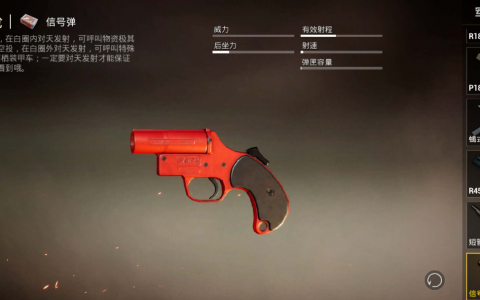 PUBG是什么游戏？深入了解这款火爆全球的射击大作-PUBG游戏入门指南：新手玩家必看