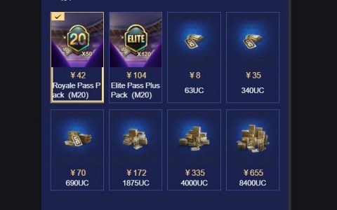 PUBG如何充值？详细教程助您快速充值-PUBG游戏内快速充值方法详解