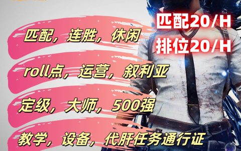 PUBG陪玩服务，轻松上分利器-专业PUBG陪玩团队助力游戏胜利