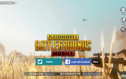 PUBG MOBILE国际服攻略：轻松上分技巧-PUBG MOBILE国际服新手入门指南