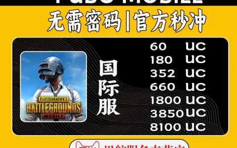 PUBG国际服充值入口_轻松快捷的充值方式-如何在PUBG国际服中快速充值