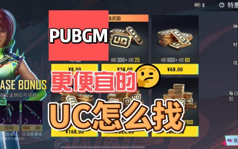 PUBG国际服代充，快速安全充值通道-PUBG国际服代充服务，高效安全带你畅玩全球