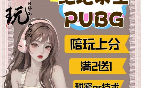 PUBG陪玩在线查找指南-如何在PUBG中找到合适的陪玩