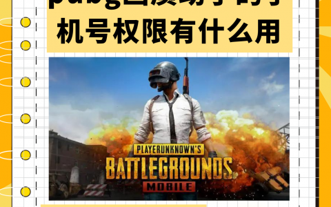 PUBG TOOL画质助手最新版下载，优化游戏体验-PUBG TOOL画质助手最新版功能详解