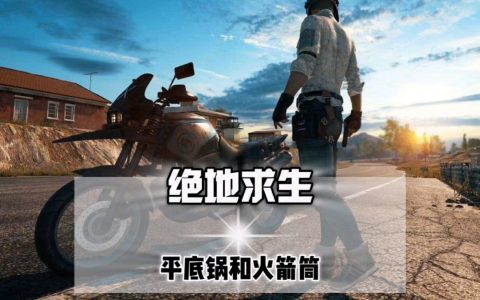 PUBG和和平精英：同一款游戏的不同版本-PUBG和和平精英是否为同一款游戏