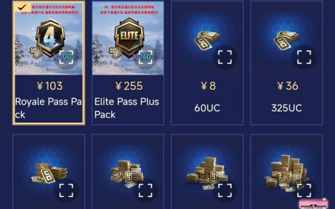 PubgM如何充值？快速了解游戏内充值方法-详细的PubgM充值指南