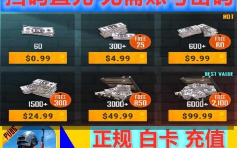 PUBG国际服充值指南-如何在PUBG国际服中进行充值