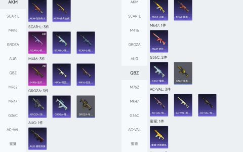 PUBG饰品价格查询工具-如何使用PUBG饰品价格查询工具