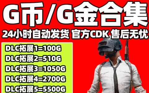 PUBG充值指南：如何最划算地购买游戏币-PUBG充值最划算的方法是什么